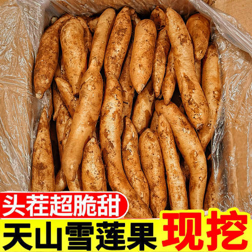 正宗现挖云南天山雪莲果新鲜水果黄心清甜当季整箱低糖水果