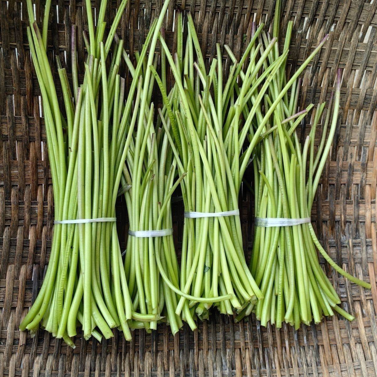 现摘地瓜梗农家新鲜红薯梗露天红苕杆时令蒸菜嫩红薯杆炒菜番薯梗