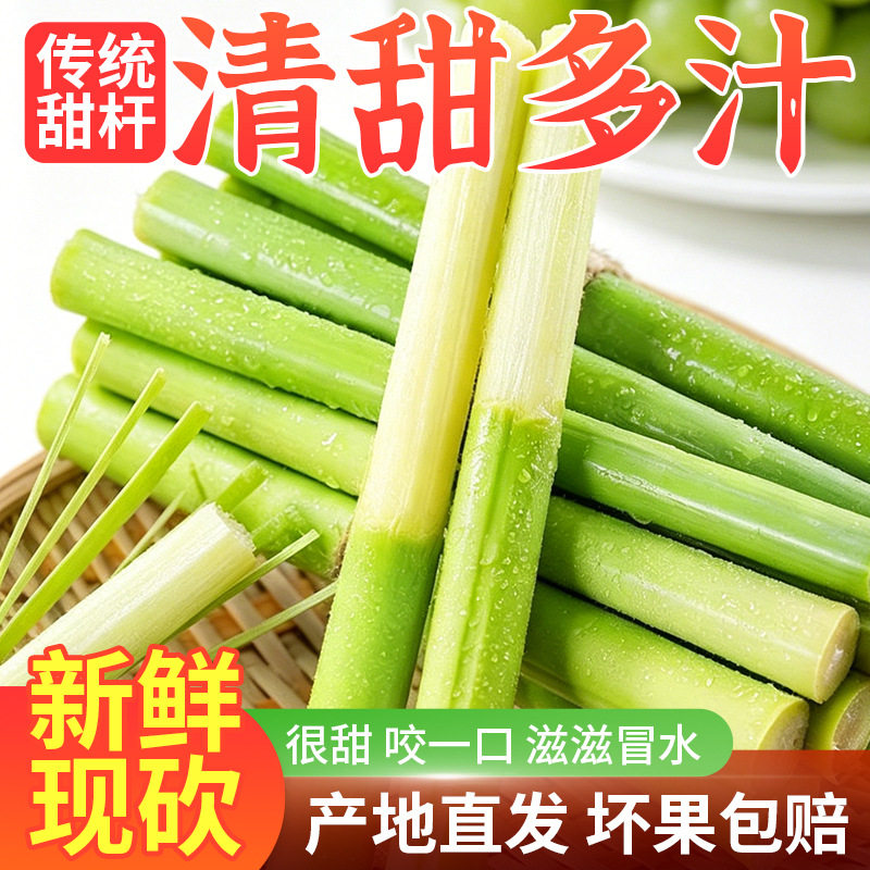 新鲜现摘甜杆绿甘蔗水果现货芦粟农家甜芦杆脆甜高粱杆产地包邮