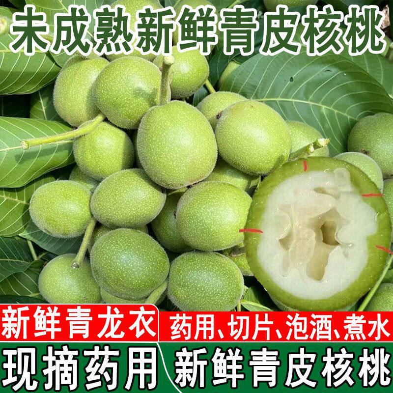 26年新鲜青皮核桃现摘山核桃泡酒药用绿皮核桃未成熟煮蛋绿核桃