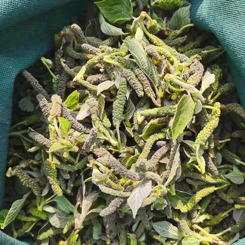 26年新鲜构树穗现摘楮不揪河南农家蒸野菜食用构蒲穗楮树花包邮