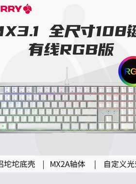 Cherry樱桃MX3.1有线RGB机械键盘铝坨坨游戏电竞108键兼容Win/Mac