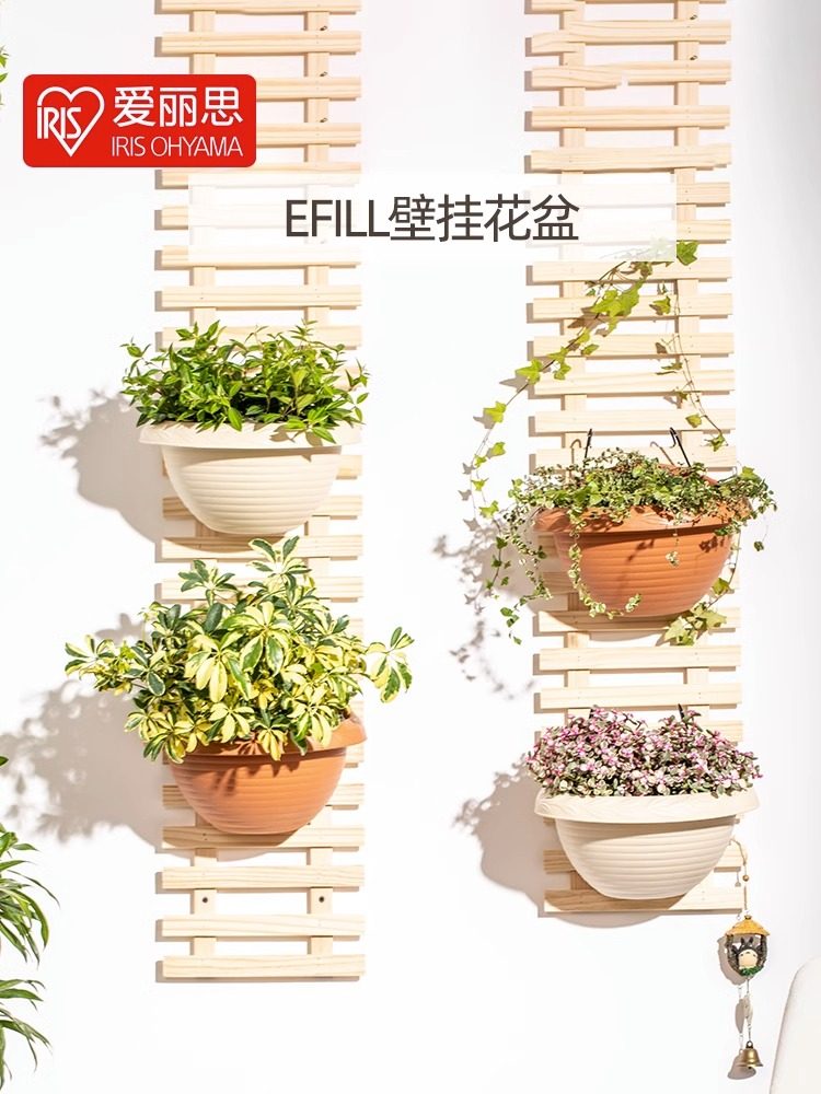 爱丽思凸纹圆形壁挂花盆园艺挂盆花盆