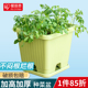 爱丽思阳台种菜神器透气花盆树脂西红柿黄瓜草莓葱蔬菜爬藤种植盆