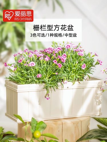 爱丽思长方形花盆创意个性树脂阳台种植盆大爱丽丝塑料长方形花盆