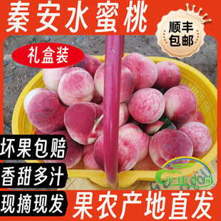 甘肃蜜桃当季新鲜水果天水桃子香甜多汁孕妇撕皮当季秦安水蜜桃