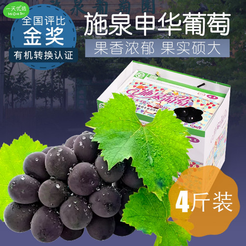 无籽葡萄施泉果冻香糯多汁