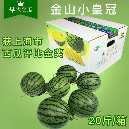小皇冠西瓜上海金山鲜甜多汁头茬