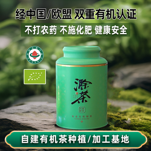 菊泰 菊泰滁州施集春雪绿茶早春翠茗50G 2025年新茶
