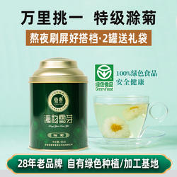 【2025新茶】菊泰滁菊雪芽菊花茶贡菊特级菊花 50g 特产可搭枸杞