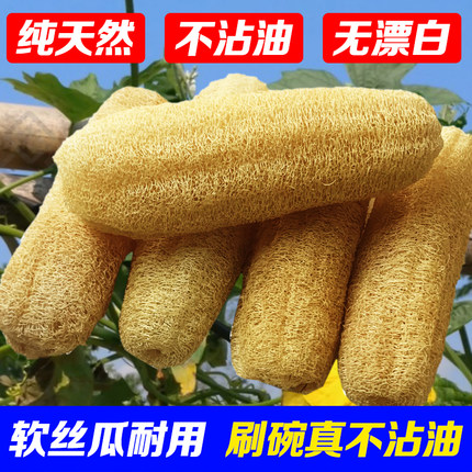 天然丝瓜络洗碗神器老丝瓜瓤洗碗巾厨房专用抹布不沾油刷锅百洁布