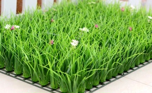 直销室内假草坪带花塑料草仿真绿植墙高加密阳台门头装饰人造草皮