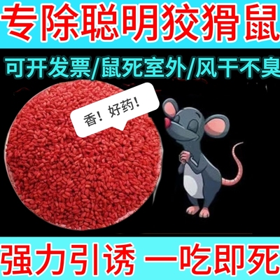 老鼠药家用药超强力一锅端
