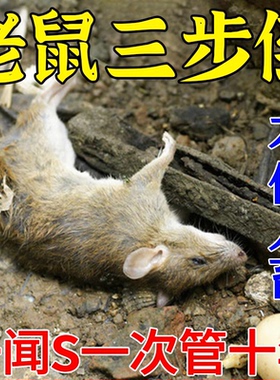 老鼠药家用药超强力药死灭鼠强效高特药三步耗子药到老鼠一锅端