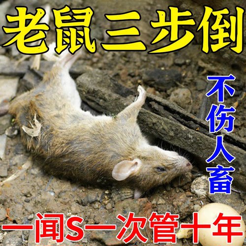 老鼠药家用药超强力药死灭鼠