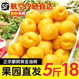 正宗蒙阴黄金油桃新鲜脆甜