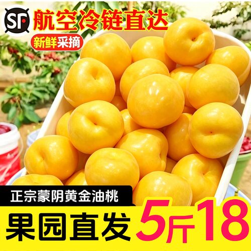 正宗蒙阴黄金油桃新鲜脆甜