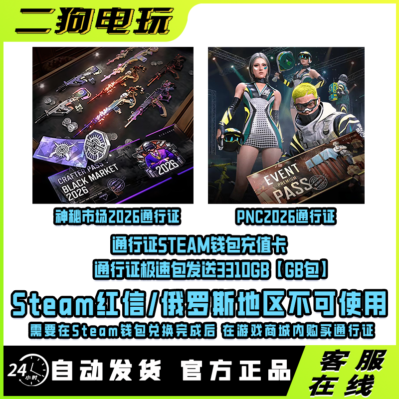 PUBG绝地求生神秘市场2026通行证PNC2026通行证Steam钱包充值卡 - 实物图