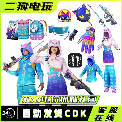 PUBG绝地求生皮肤小叮当电玩猫咪超级礼包XDD联名手套AUG武器CDK