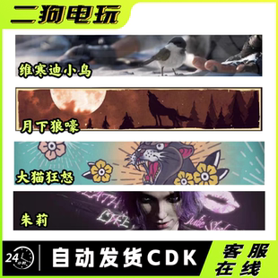 PUBG绝地求生名片动态举起手来Steam吃鸡皮肤兑换码CDK端游秒发