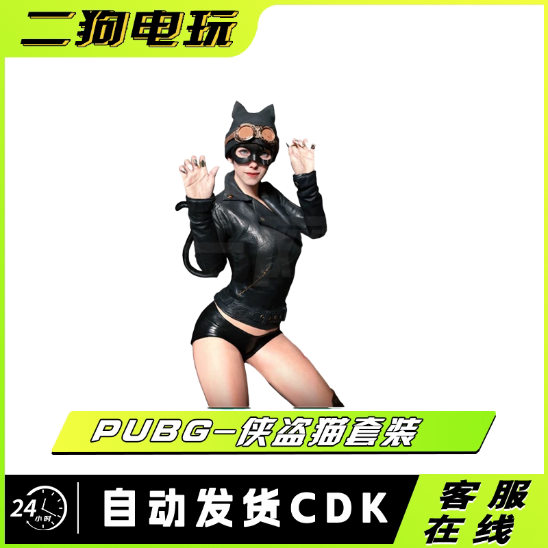 PUBG绝地求生侠盗猫套装皮肤CDK夹克短裤长靴面具永久Steam吃鸡图片