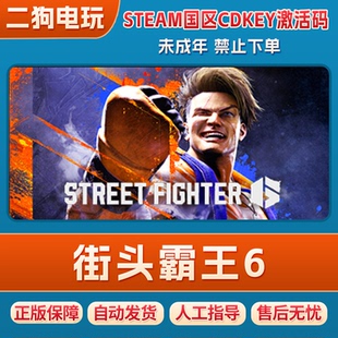 steam街头霸王6 二三年通行证国区正版激活码CDK 街霸六