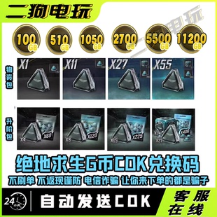 steam绝地求生PUBG金币G币迎新春物资箱升阶包吃鸡点卷CDK兑换码