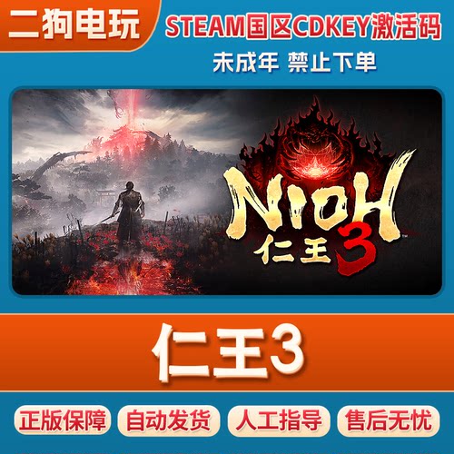 Steam游戏 仁王3 Nioh 3 steam正版国区CDK PC端激活码