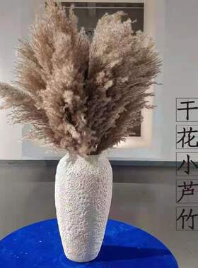 天然芦柴干花花束装饰道具芦苇