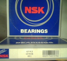 NSK圆柱滚子进口轴承NU1024M尺寸120*180*28