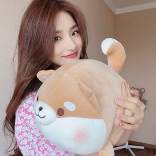 网红爆款可爱超软柴犬毛绒玩具小柯基玩偶公仔儿童女生生日礼物