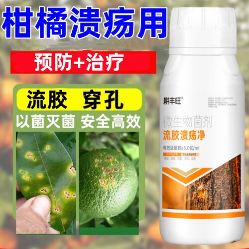 柑橘溃疡病专用疮痂流胶专用