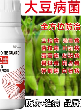 大豆病全治黄豆杀菌剂立枯病菌核褐斑病根腐病白粉炭疽大豆病害药
