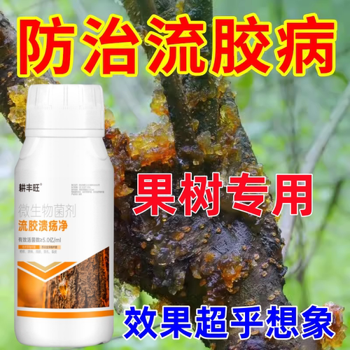 流胶穿孔一喷净桃树流胶病专用
