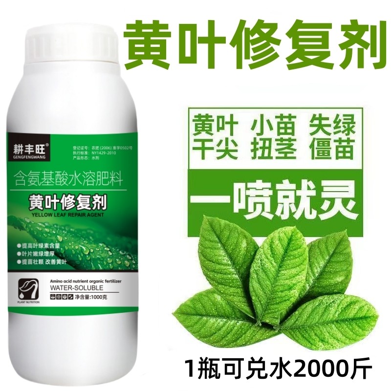 黄叶死苗一喷绿氨基酸蔬菜花卉果树营养液通用型水溶肥黄叶修复剂,农用物资,其他肥料,淘宝优惠券,粉丝福利购,淘宝优惠卷