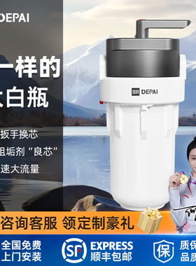 得湃大白瓶前置过滤器全屋大流量