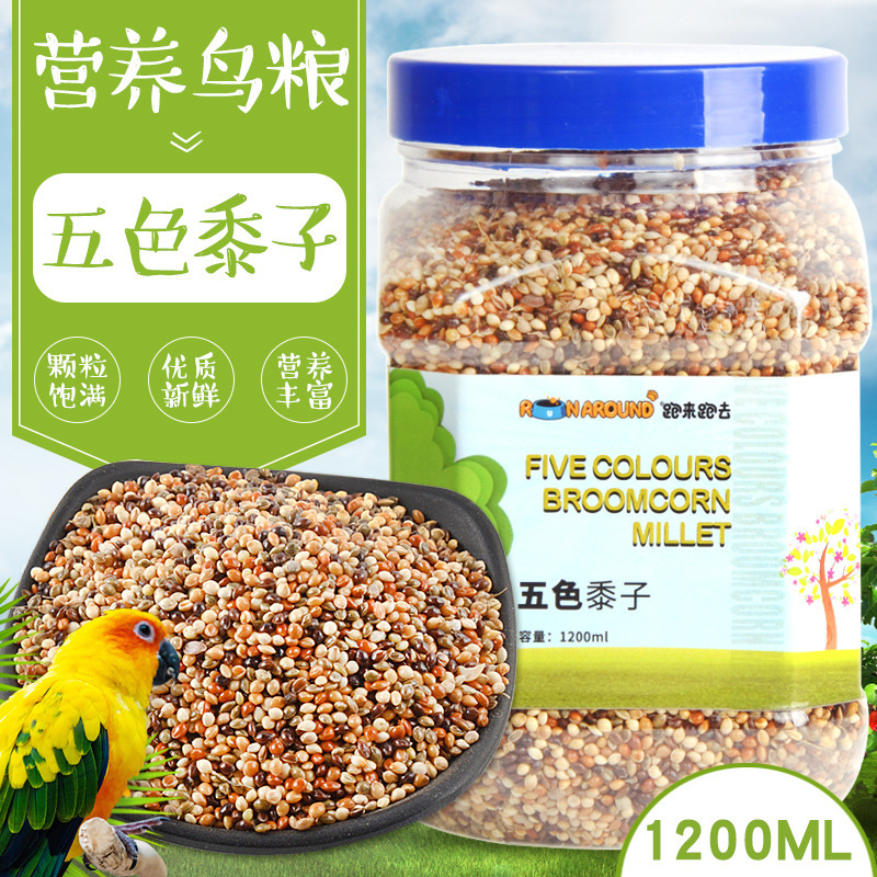 跑来跑去鸟食诺之信严选鹦鹉饲