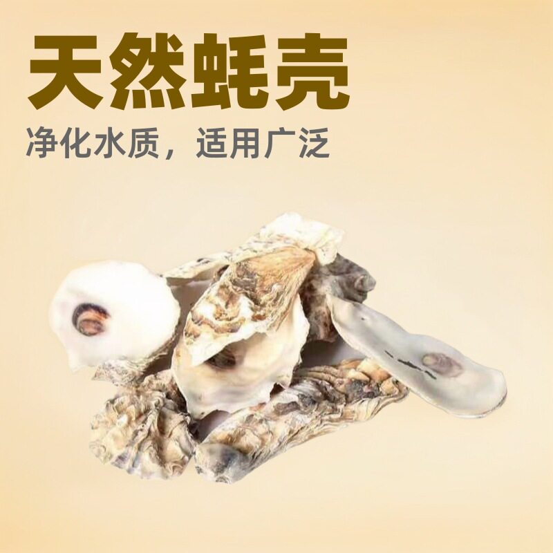 生蚝壳滤材蚝壳水族箱火山石鱼缸生蚝壳锦鲤鱼池净化天然鱼缸过滤