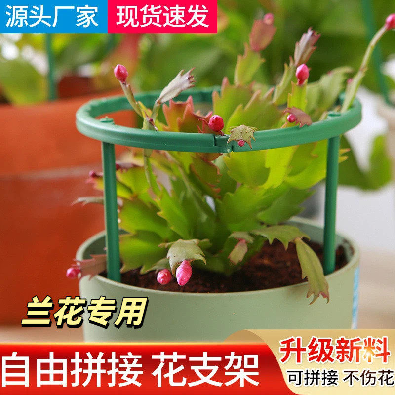 兰花专用架子支架防倒架爬藤架园艺用品花卉植物支撑杆花架支柱