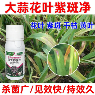 大蒜专用蒜苗紫斑病杀菌剂根腐病病全治紫斑锈病干尖黄叶叶面肥