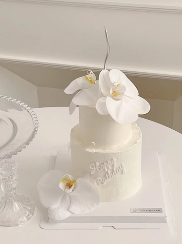 新款蛋糕装饰白色蝴蝶兰