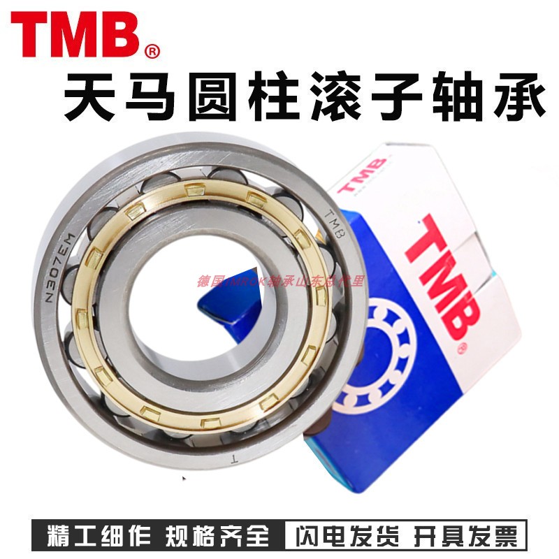 天马圆柱滚子轴承N 309 310 311 312 313 314 315 316 317 318 EM