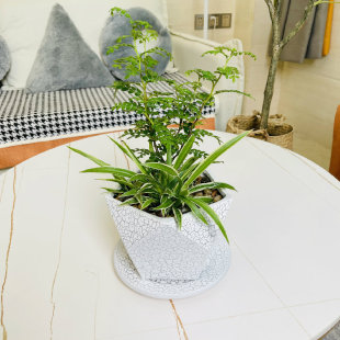 现代简约陶瓷花盆多肉陶盆家居桌面装饰绿植花盆五边形