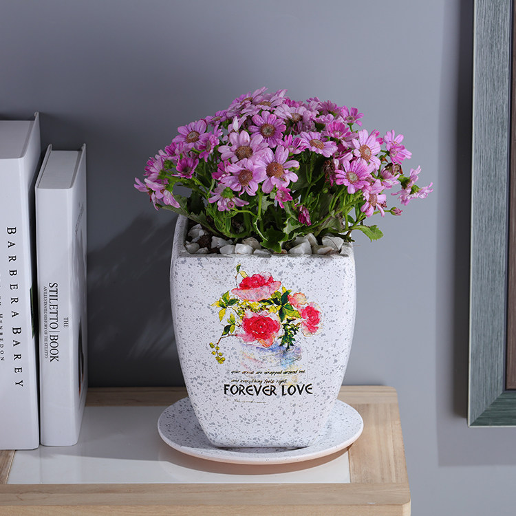 欧式贴花浪漫陶瓷花盆大号玫瑰花万年青绿萝植物摆件花盆陶瓷有孔