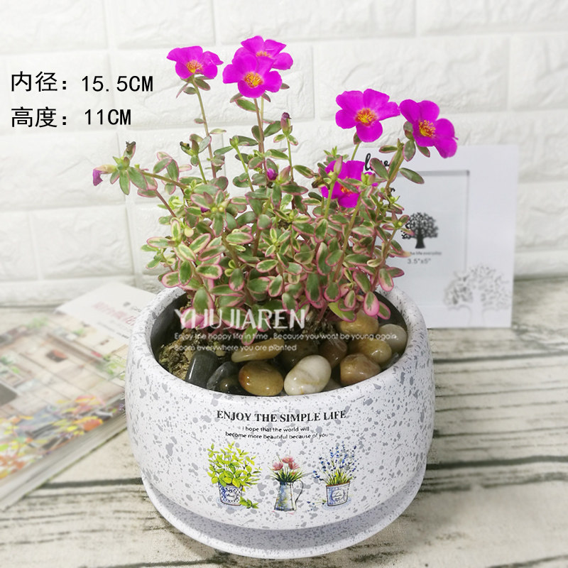 抢购价陶瓷花盆中号工艺现代简约创意花盆陶瓷园林花盆欧式家摆件