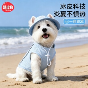 夏冰感带帽狗狗凉凉衣宠物防晒背心中小型犬比熊户外薄款透气衣服