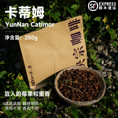 精品卡蒂姆咖啡豆250g央宗农场