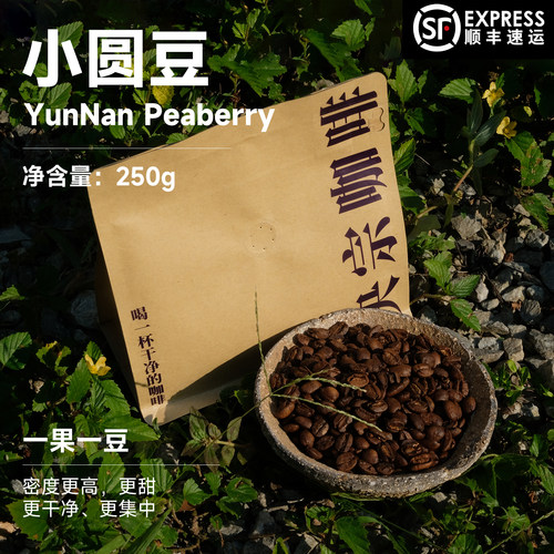 高海拔小圆豆咖啡豆250g央宗农场
