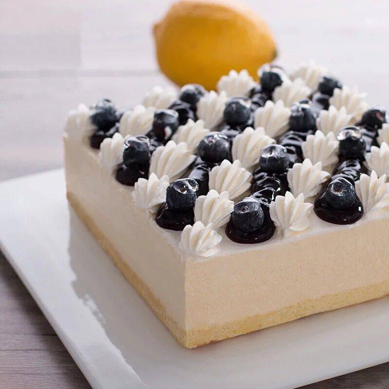 纯白色陶瓷盘蛋糕西点长方平板盘西餐牛排甜品点心盘寿司冷菜拼盘