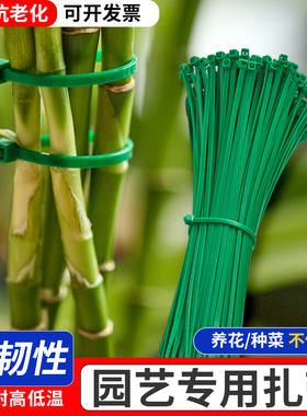 扎带园艺绿色扎带塑料植物户外防雨果园藤蔓固定花园支架捆绑
